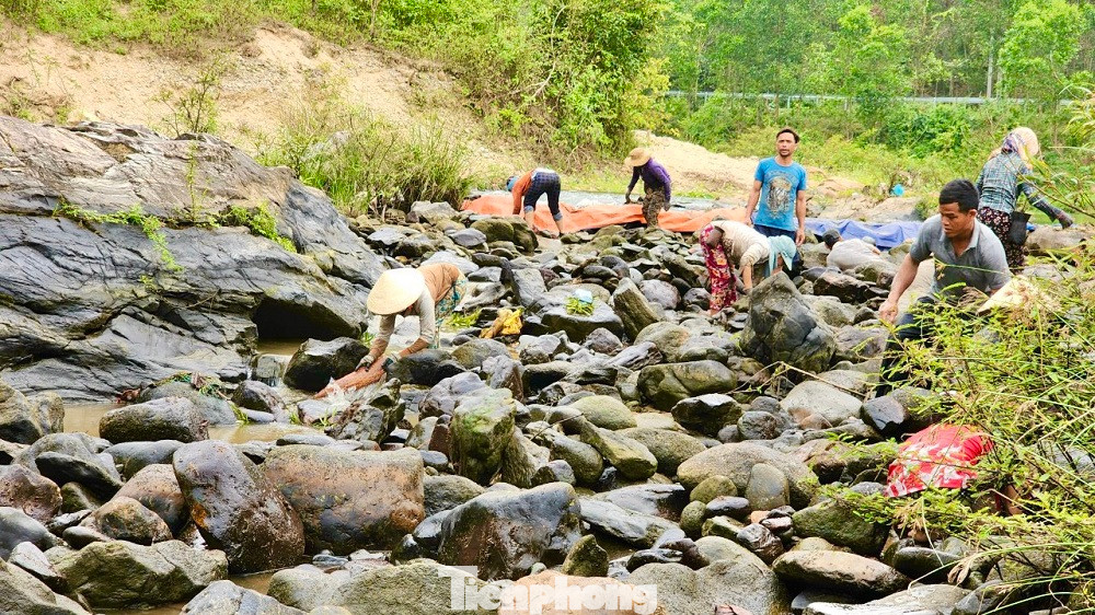 Mỗi lần chặn sông bắt cá dân làng lại như có hội với rất đông người làng cùng tham gia. Ảnh: Nguyễn Ngọc.