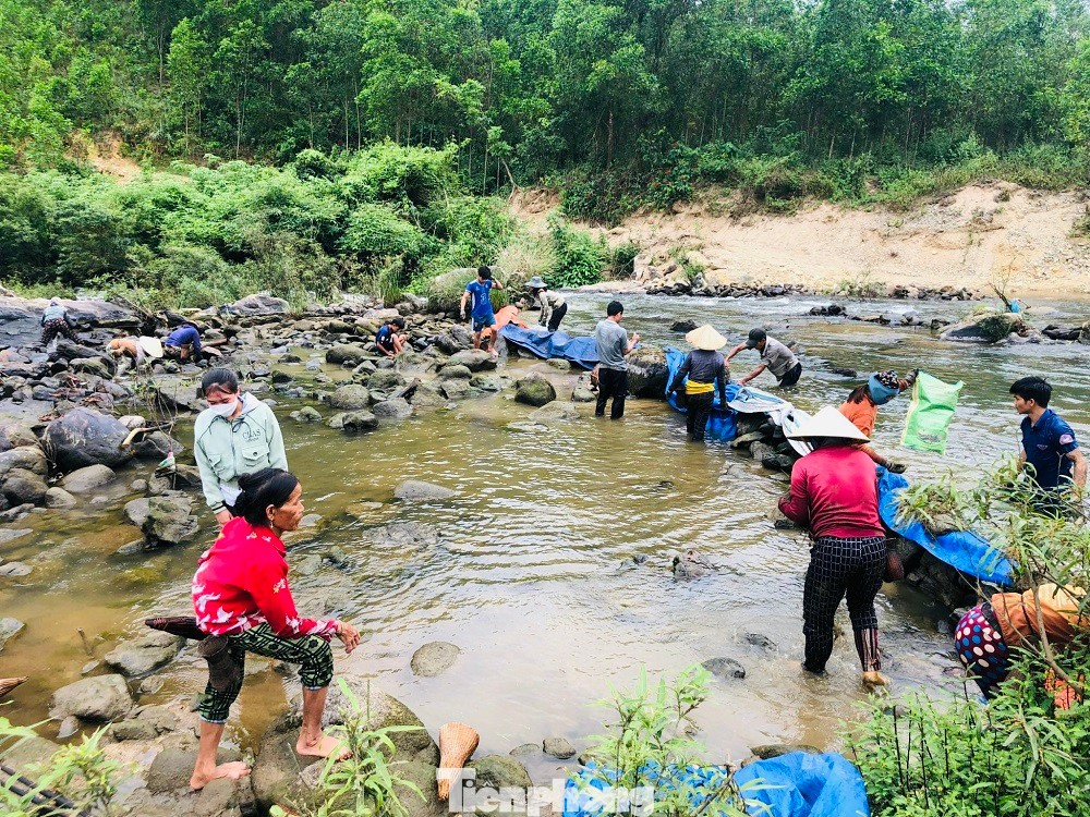Không sử dụng lưới hay kích điện, việc bắt cá của đồng bào Hrê có nét độc đáo riêng. Đó là họ dùng đất, đá và tấm bạt để chặn một đoạn sông, ngăn đôi con nước để bắt cá. Ảnh: Nguyễn Ngọc.