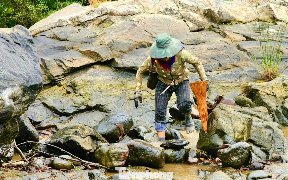 “Đây là cách đánh bắt cá truyền thống từ xưa giờ của người dân chúng tôi, không ai được sử dụng kích điện để bắt cá. Có như vậy mới bảo vệ được nguồn lợi thủy sản, mình bắt thuận theo tự nhiên thì năm sau sẽ có cá để bắt tiếp, nếu kích điện và khai thác tận diệt thì những năm tiếp theo chắc sẽ không còn cá”, anh Đinh Văn Tới bộc bạch. Ảnh: Nguyễn Ngọc.