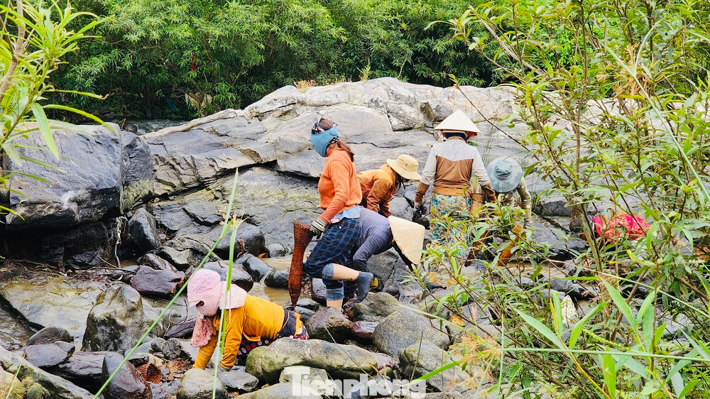 Mỗi lần chặn sông bắt cá dân làng lại như có hội với rất đông người làng cùng tham gia. Ảnh: Nguyễn Ngọc.