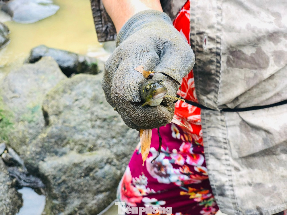 Niềm vui khi bắt được nhiều cá. Ảnh: Nguyễn Ngọc.