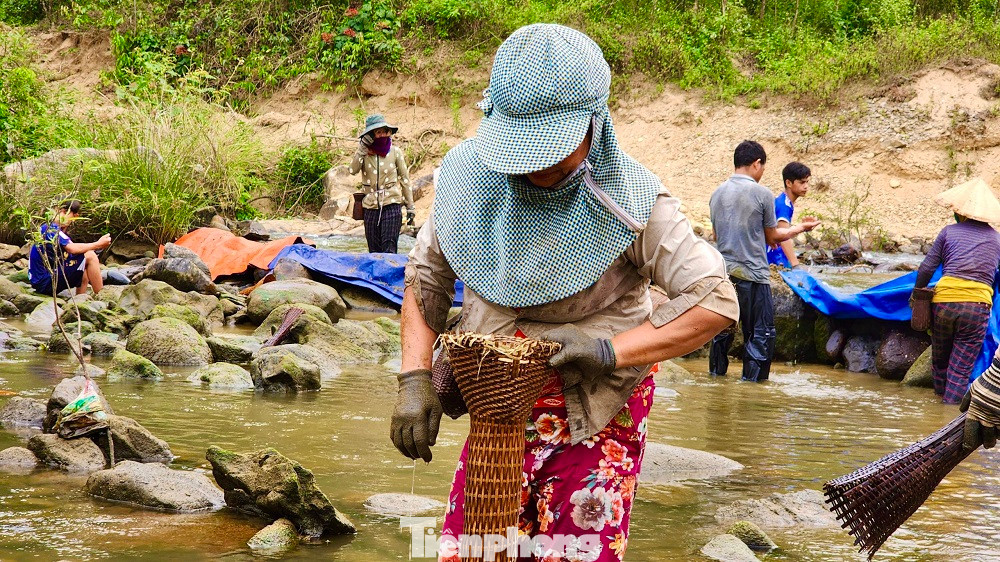 Có dịp đến xã Long Mai (huyện miền núi Minh Long, Quảng Ngãi) đúng thời điểm đồng bào Hrê rủ nhau ngăn dòng sông, suối bắt cá ta sẽ được trải nghiệm một phương thức đánh bắt cá độc đáo và riêng biệt. Từ đó được hiểu thêm về những giá trị văn hóa đặc sắc mà đồng bào nơi đây đang lưu giữ và duy trì đến ngày nay. Ảnh: Nguyễn Ngọc.