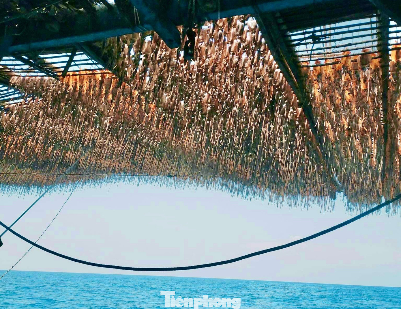 Ngư dân phơi mực trên tàu, ở ngoài khơi.