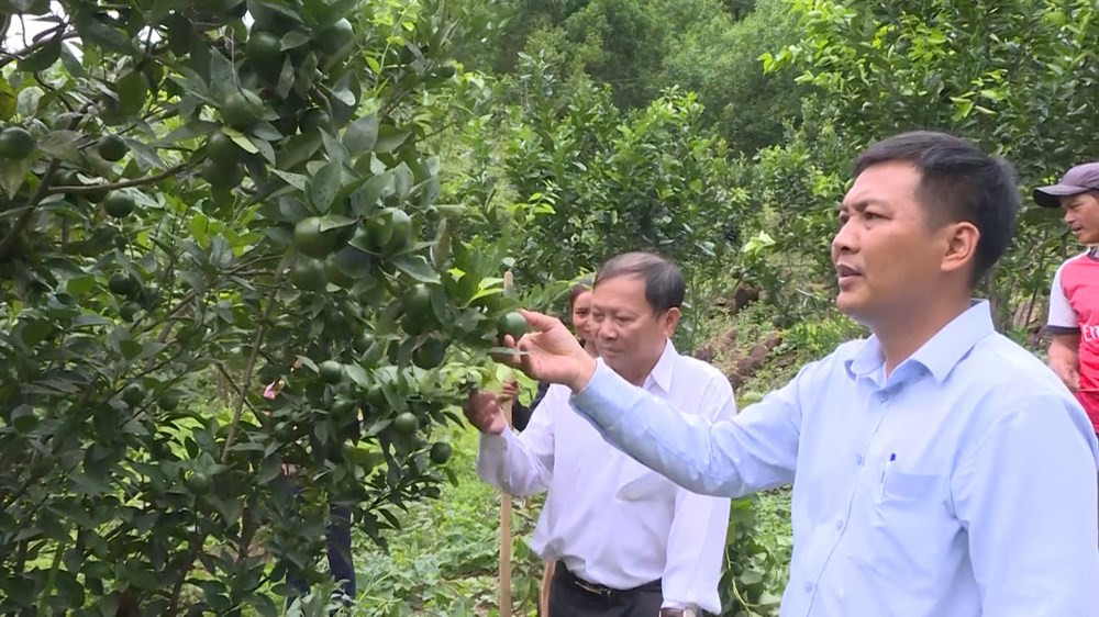 Hỗ trợ sinh kế gắn với chuỗi giá trị, chuyển đổi mô hình phù hợp với biến đổi khí hậu. Hỗ trợ sinh kế gắn với chuỗi giá trị, chuyển đổi mô hình phù hợp với biến đổi khí hậu.