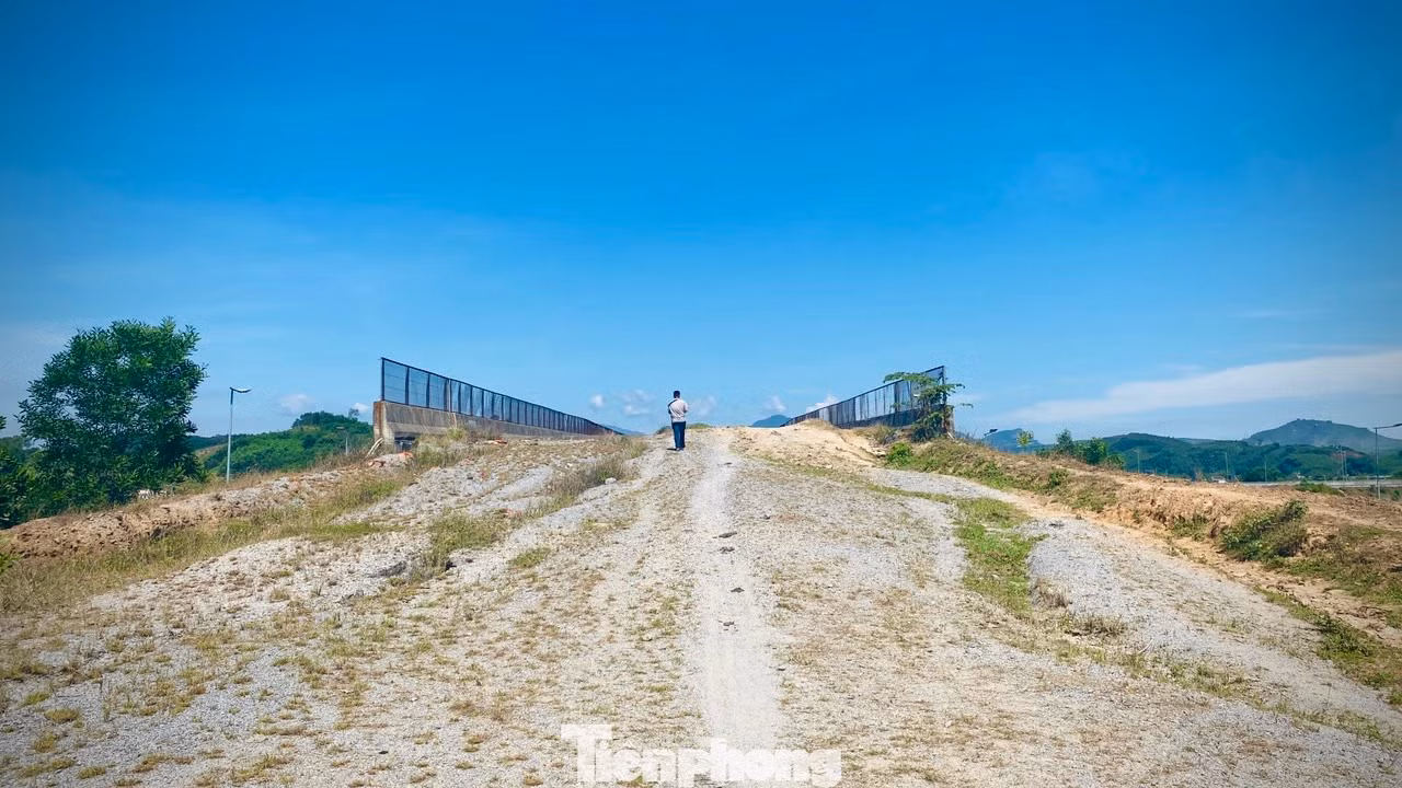 Theo ghi nhận của PV, tại nút giao thông này, đơn vị thi công mới hoàn thành mố trụ, bản mặt 3 cầu bắc ngang qua cao tốc, đường sắt Bắc - Nam và Quốc lộ 1A. Mặc dù đã hoàn thiện khối lượng lớn công việc trên tuyến nhưng nhà thầu đã bỏ dở, dừng thi công dự án suốt nhiều năm qua. Trong khi đó, các hạng mục còn lại của dự án như nhà điều hành, trạm thu phí, đường dẫn vẫn chưa biết ngày nào thi công trở lại. Ảnh: Nguyễn Ngọc.