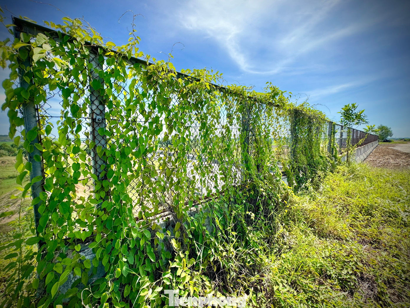 Nhiều hạng mục đã đầu tư bị bỏ hoang lâu ngày bắt đầu hư hỏng, xuống cấp nghiêm trọng, có những hạng mục công trình bị vùi lấp bởi đất đá, xói lở, cỏ cây mọc um tùm. Ảnh: Nguyễn Ngọc.