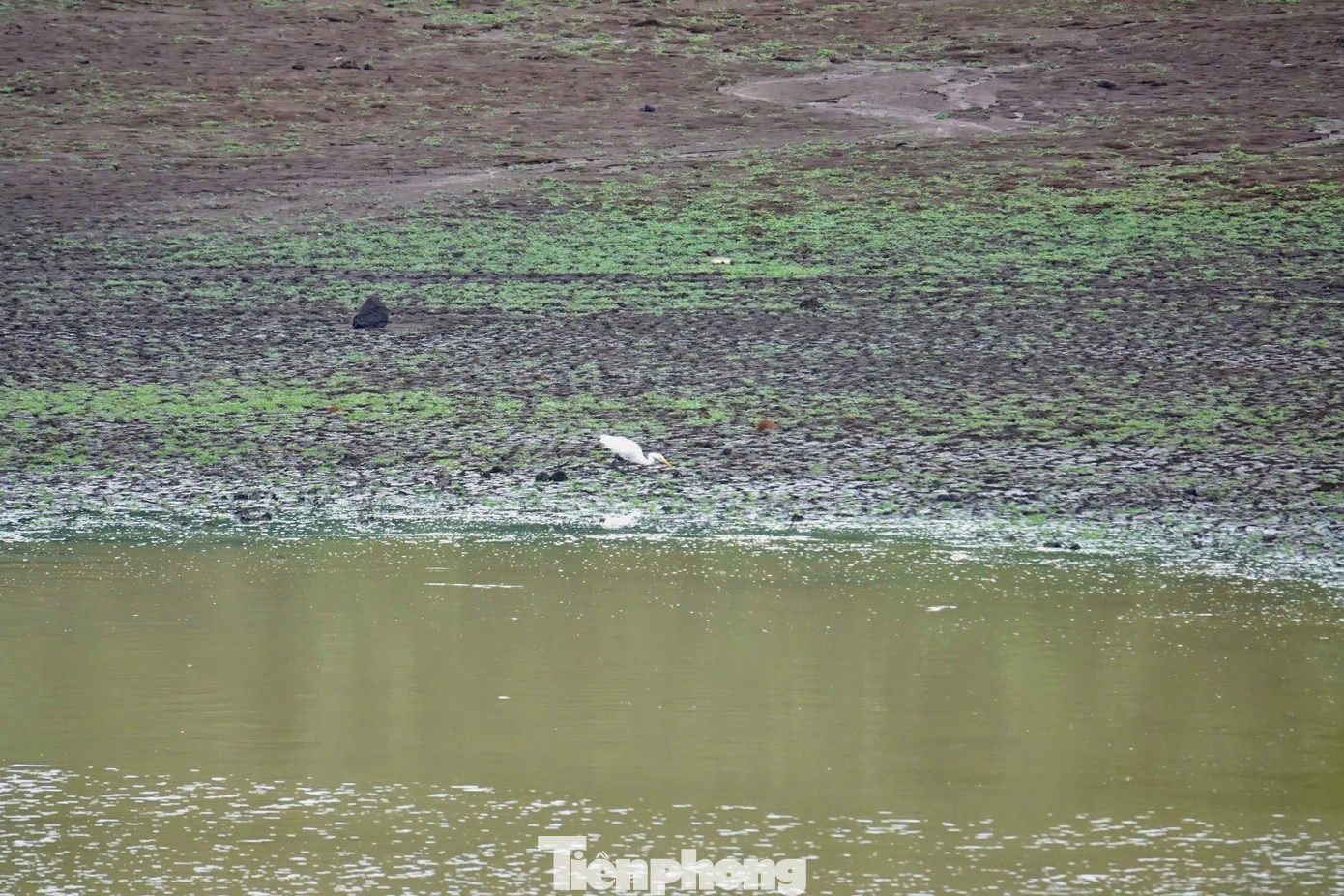Ngoài việc tạo nên những di sản địa chất độc đáo, dung nham núi lửa bị phong hóa đã hình thành nên nền đất đỏ bazan chứa nhiều khoáng chất.