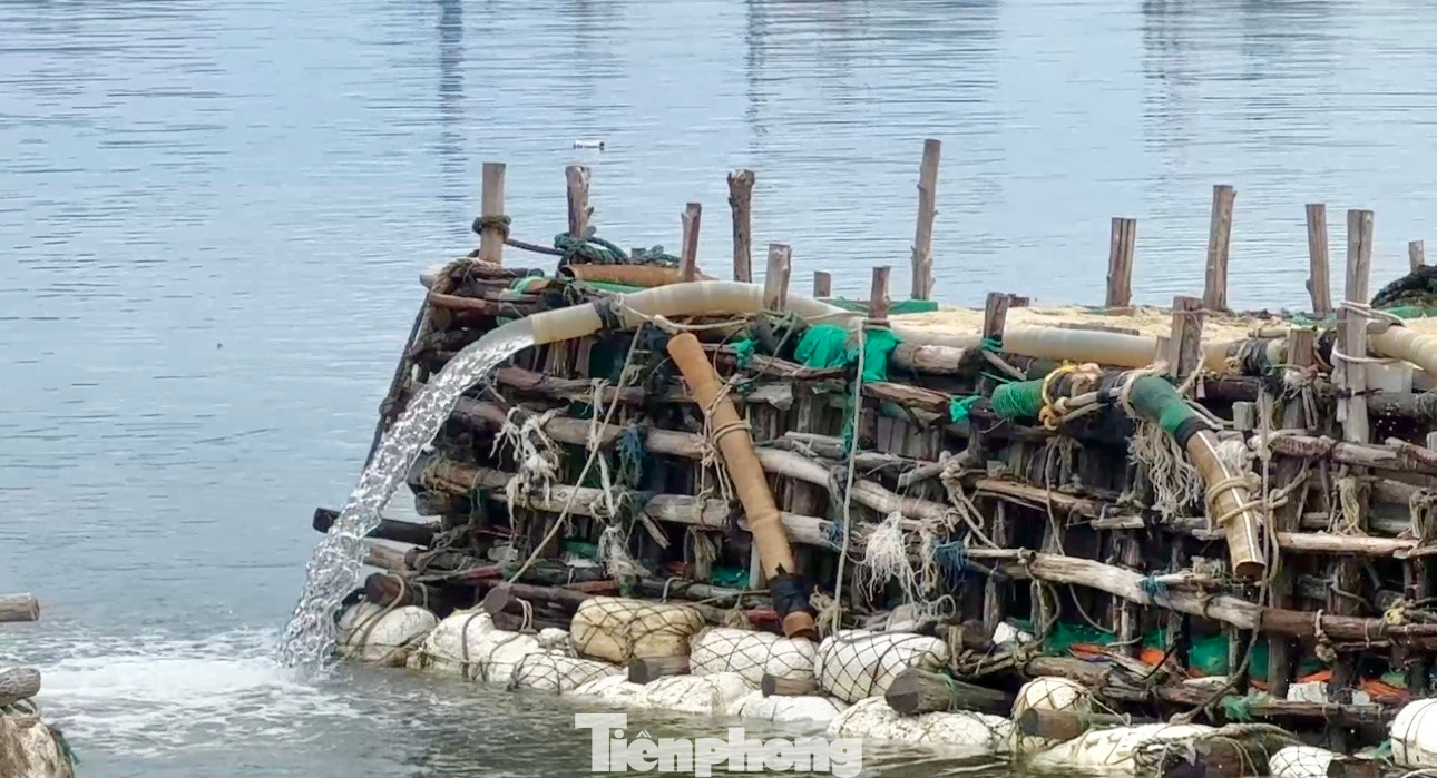 Bè bơm hút cát ở khu vực vũng neo đậu tàu thuyền Lý Sơn.