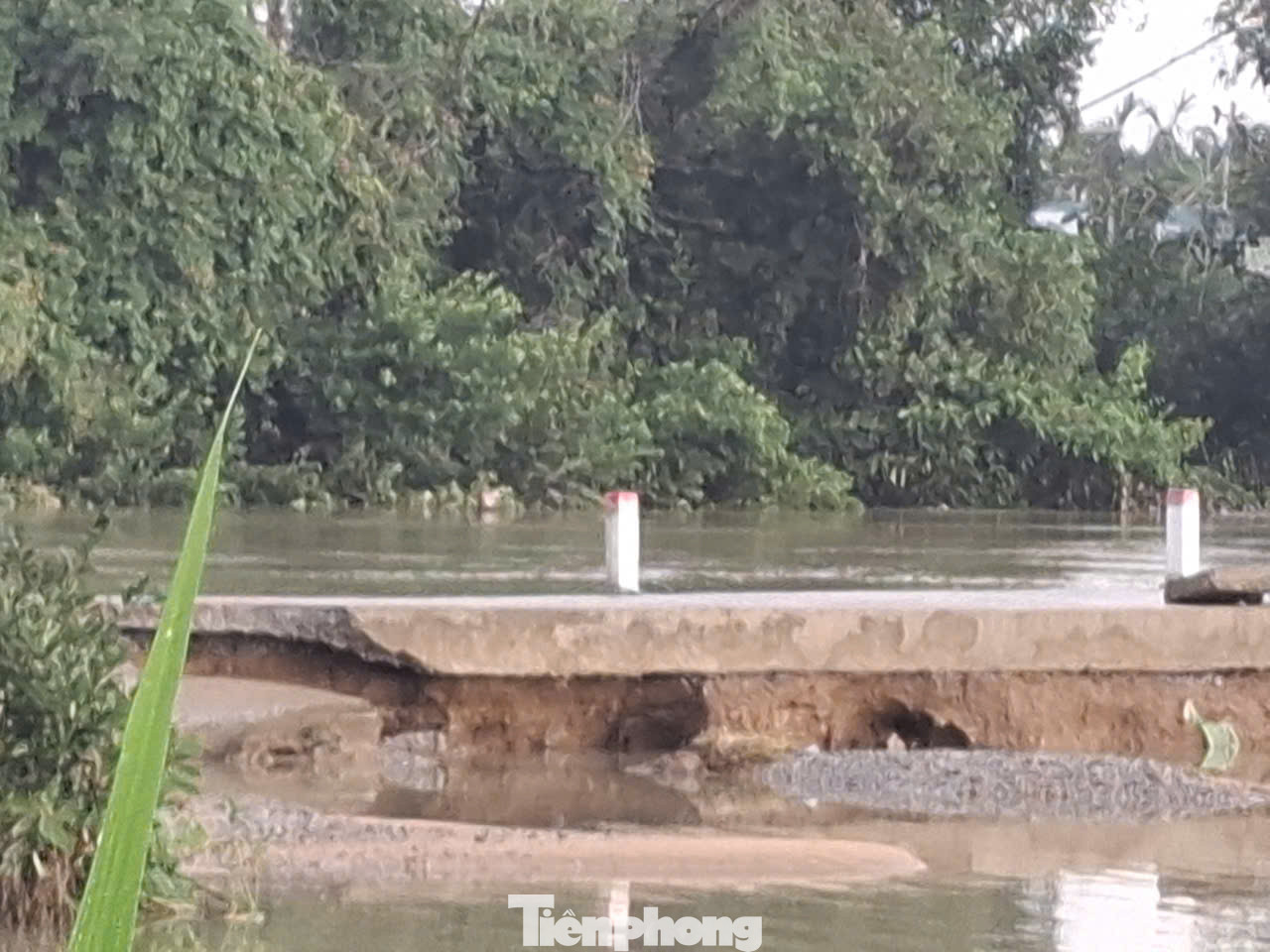 Tuyến đường bờ kè phường Phổ Minh bị sụp, toác do nước chảy xiết... Tuyến đường bờ kè phường Phổ Minh bị sụp, toác do nước chảy xiết...