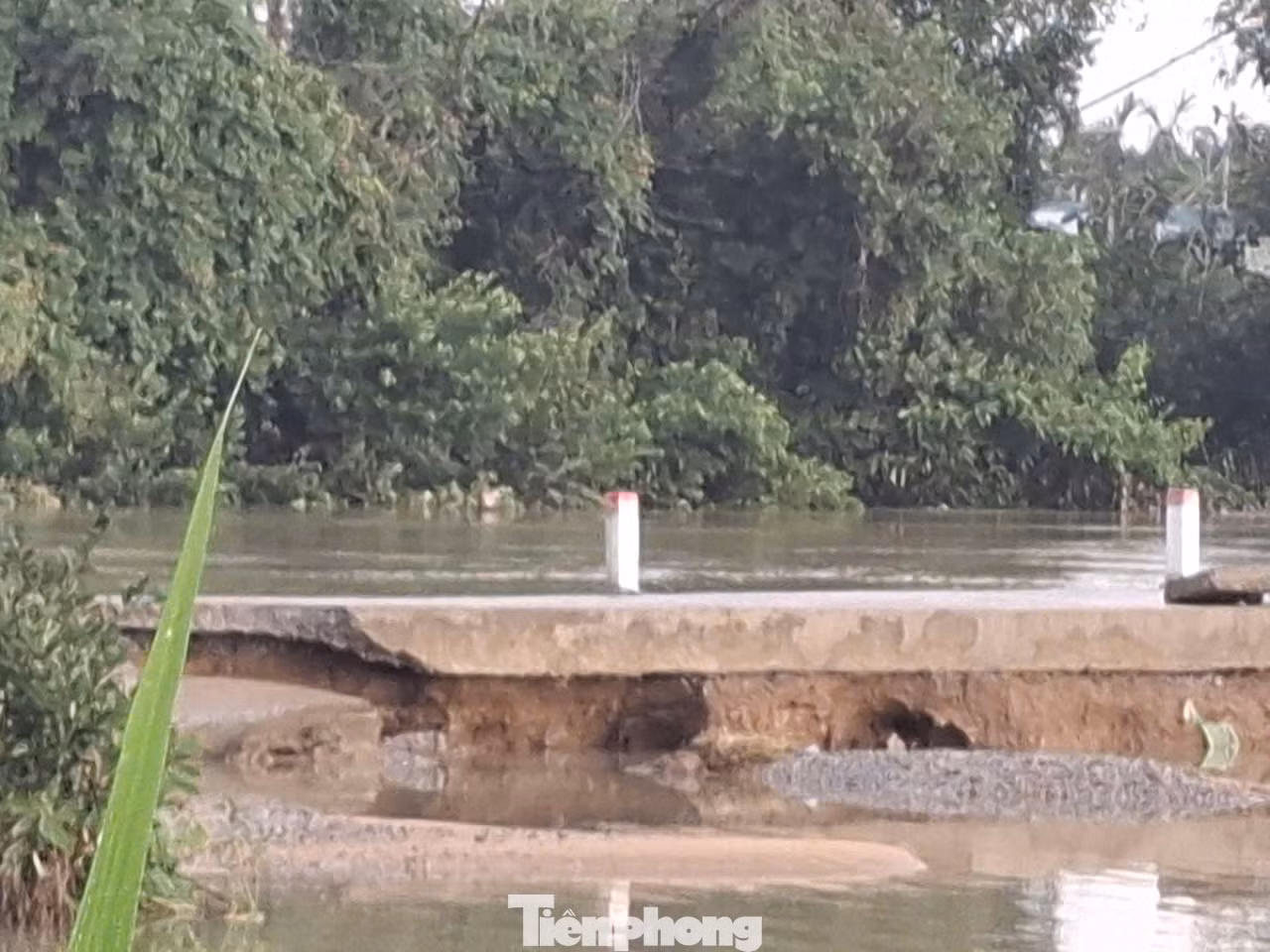 Tuyến đường bờ kè phường Phổ Minh bị sụp, toác do nước chảy xiết... Tuyến đường bờ kè phường Phổ Minh bị sụp, toác do nước chảy xiết...