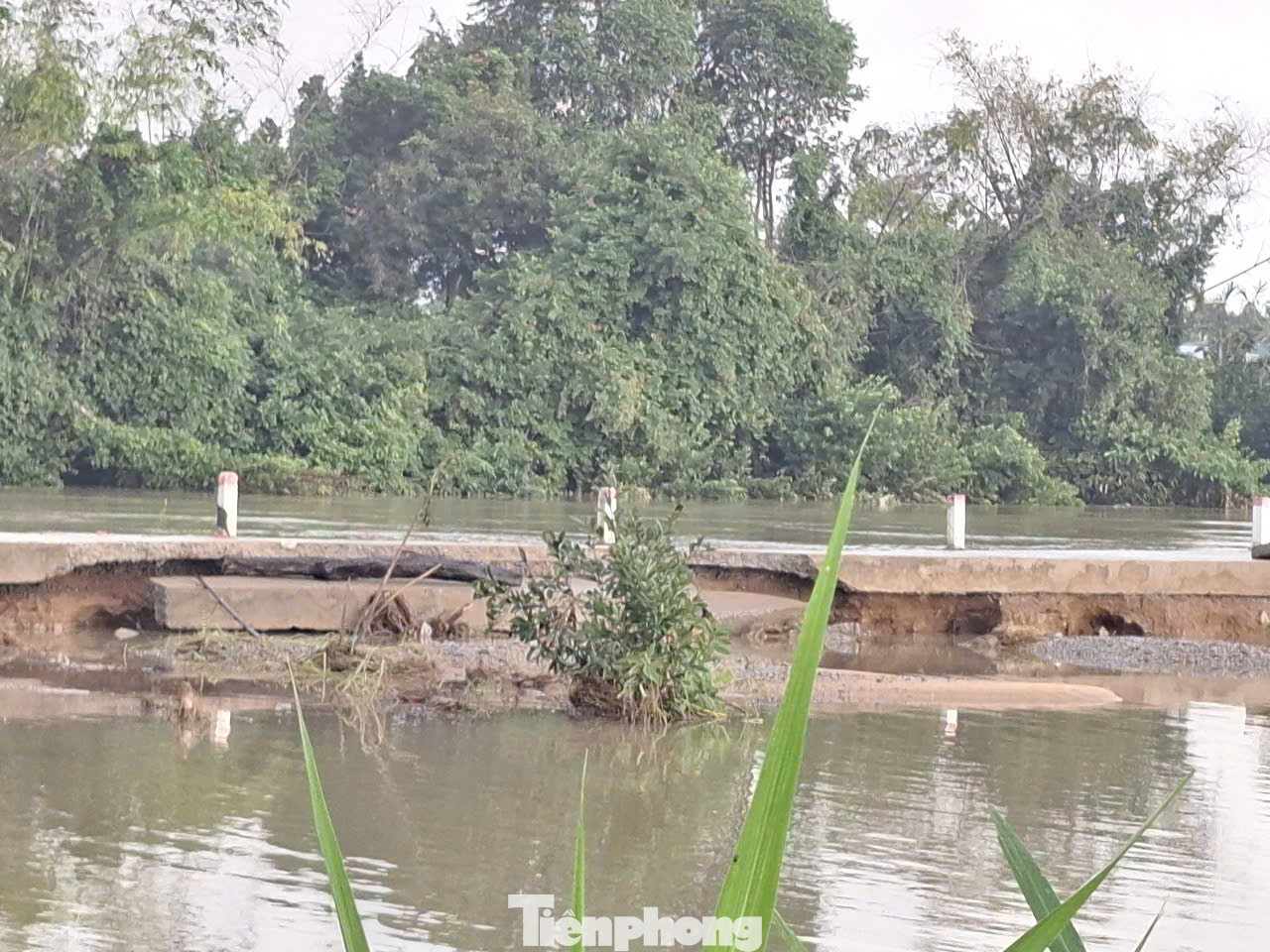 Tuyến đường bờ kè phường Phổ Minh bị sụp, toác do nước chảy xiết... Tuyến đường bờ kè phường Phổ Minh bị sụp, toác do nước chảy xiết...