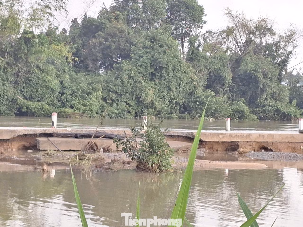 Tuyến đường bờ kè phường Phổ Minh bị sụp, toác do nước chảy xiết... Tuyến đường bờ kè phường Phổ Minh bị sụp, toác do nước chảy xiết...