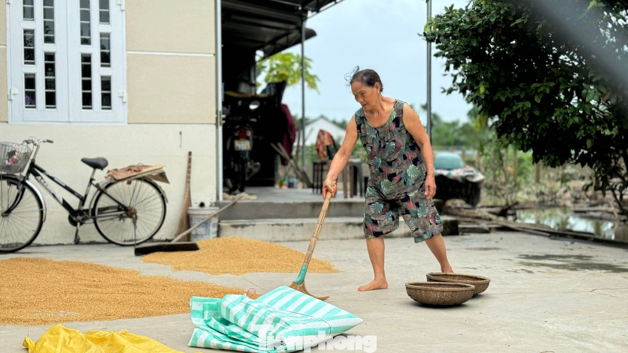 Người dân vùng ngập lũ ở thị xã Đức Phổ dọn dẹp nhà cửa ổn định cuộc sống. Người dân vùng ngập lũ ở thị xã Đức Phổ dọn dẹp nhà cửa ổn định cuộc sống.
