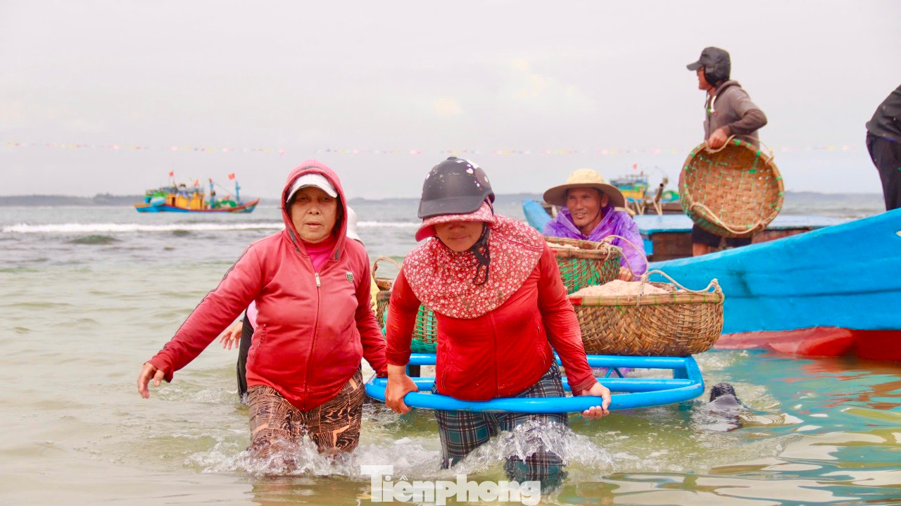 Theo các ngư dân, mùa ruốc thường bắt đầu từ tháng 1-2 và kéo dài đến tháng 4 (âm lịch). Ngư dân bắt đầu ra khơi từ 3 – 4h sáng đến trưa có thể thu hoạch được 4 - 5 tạ ruốc. Họ quay vào bờ bán ruốc rồi tiếp tục ra khơi cho chuyến biển buổi chiều. Ảnh: Nguyễn Ngọc