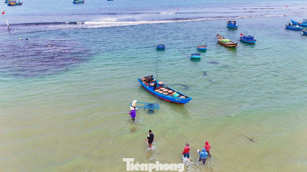 Liên tục trong những ngày qua, vùng bãi ngang xã Bình Châu (huyện Bình Sơn, tỉnh Quảng Ngãi) luôn tấp nập tàu cá vào bán ruốc. Trung bình mỗi tàu đánh ruốc có từ 3 - 7 lao động, tùy thuộc vào tàu có công suất lớn hay nhỏ. Ảnh: Nguyễn Ngọc