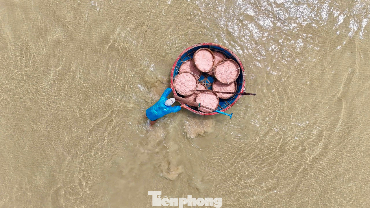 Ông Nguyễn Thanh Hùng - Chủ tịch Nghiệp đoàn Nghề cá xã Bình Châu cho biết, ruốc được mùa ngư dân xem là “lộc biển”. Mỗi ngày, có hàng trăm ngư dân xã Bình Châu với trên gần 40 tàu thuyền tham gia đánh bắt ruốc. Năm nay ruốc xuất hiện dày đặc nên ngư dân rất phấn khởi. Ảnh: Nguyễn Ngọc