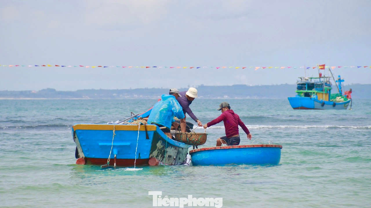 Vùng đánh bắt chỉ cách bờ khoảng 4 hải lý nên tàu đánh ruốc đi về trong ngày. Năm nay, ngư dân hồ hởi khi trúng đậm ruốc biển. Ảnh: Nguyễn Ngọc