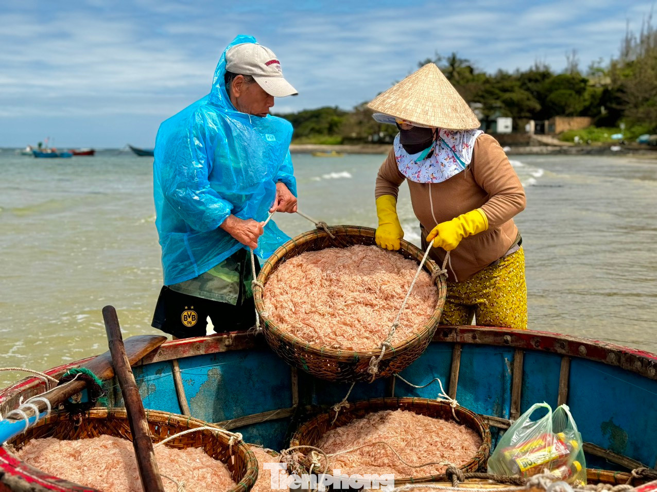 Đang cân ruốc bán cho thương lái, ngư dân Phạm Văn Phượng (trú xã Bình Châu, huyện Bình Sơn cho hay, hôm nay, sau 5 tiếng ra khơi, anh cùng 2 thuyền viên khai thác được 20 giỏ ruốc, khoảng 4 tạ. Với giá bán 20.000 đồng/kg, tàu của anh cũng thu về được gần 8 triệu đồng. Sau khi trừ hết chi phí mỗi người “đút túi” cũng được hơn 1 triệu đồng. Ảnh: Nguyễn Ngọc