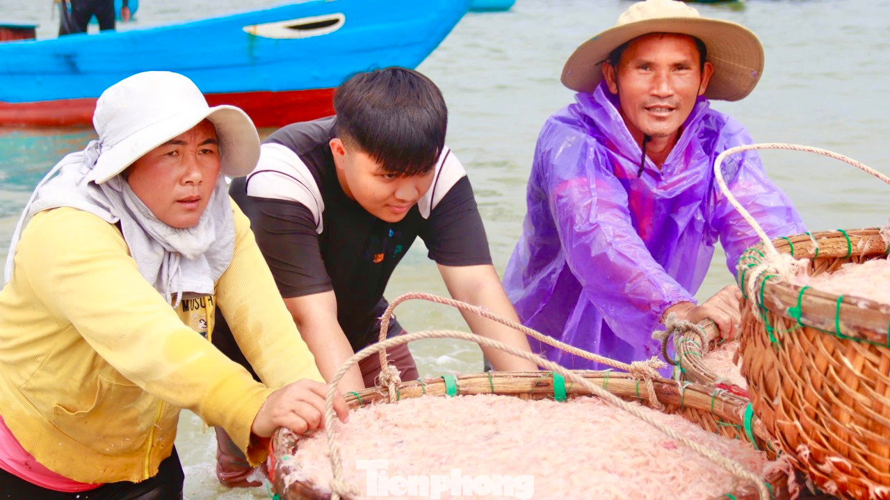 Theo các ngư dân, mùa ruốc thường bắt đầu từ tháng 1-2 và kéo dài đến tháng 4 (âm lịch). Ngư dân bắt đầu ra khơi từ 3 – 4h sáng đến trưa có thể thu hoạch được 4 - 5 tạ ruốc. Họ quay vào bờ bán ruốc rồi tiếp tục ra khơi cho chuyến biển buổi chiều. Ảnh: Nguyễn Ngọc