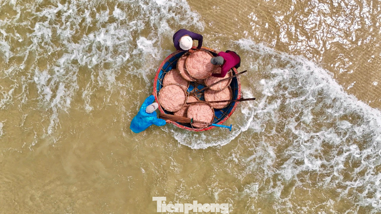 “Con ruốc chỉ đánh bắt vào ban ngày ở vùng biển gần bờ. Tàu đến vị trí có đàn ruốc thì dùng vợt xúc hoặc vây lưới. Mỗi ngày một tàu của tôi có thể đánh bắt từ 1 – 1,5 tấn ruốc tươi, với giá cả như hiện nay, trung bình tàu thu về từ 20 – 30 triệu đồng/ngày”, ông Hải nói. Ảnh: Nguyễn Ngọc