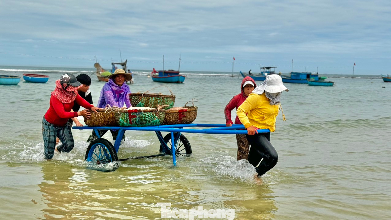 Ngoài những người trực tiếp đánh bắt, mùa ruốc cũng mang đến nguồn thu nhập khá cho nhiều phụ nữ trên bờ. Những người làm nghề vận chuyển ruốc thuê sẽ kiếm được 200.000 – 300.000 đồng mỗi ngày. Ảnh: Nguyễn Ngọc