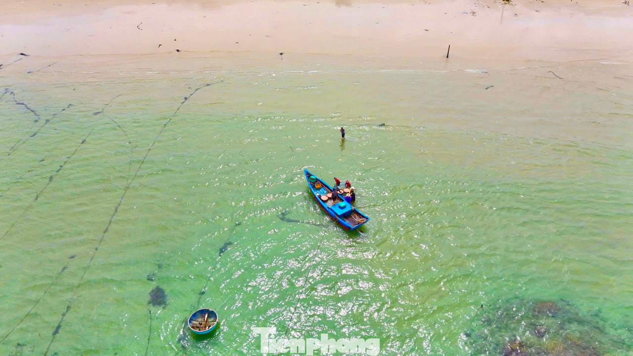 Liên tục trong những ngày qua, vùng bãi ngang xã Bình Châu (huyện Bình Sơn, tỉnh Quảng Ngãi) luôn tấp nập tàu cá vào bán ruốc. Trung bình mỗi tàu đánh ruốc có từ 3 - 7 lao động, tùy thuộc vào tàu có công suất lớn hay nhỏ. Ảnh: Nguyễn Ngọc