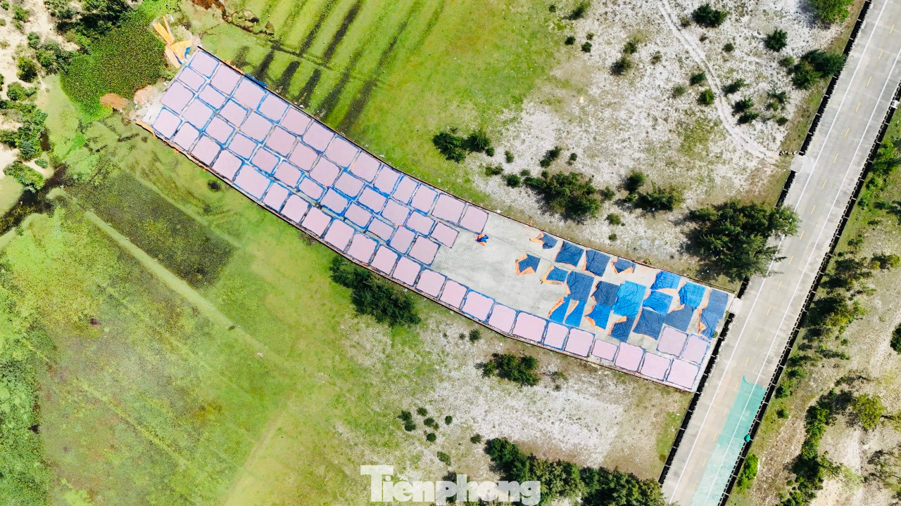 Ruốc tươi được thương lái mua, vận chuyển về cơ sở sản xuất để phơi làm ruốc khô hoặc mắm ruốc. Khoảng 3kg ruốc tươi sẽ được 1kg ruốc khô. Ảnh: Nguyễn Ngọc