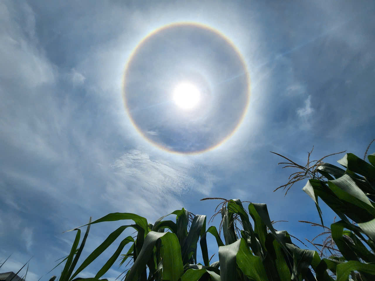 Quầng mặt trời hay còn gọi là hào quang mặt trời là một hiện tượng thiên văn có tên khoa học là halo.