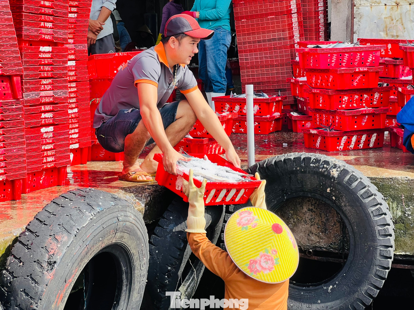 Nhộn nhịp cảnh mua bán hải sản tại cảng cá Sa Kỳ. Nhộn nhịp cảnh mua bán hải sản tại cảng cá Sa Kỳ.