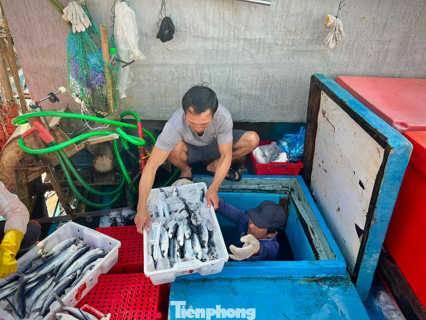 “Bây giờ anh em tranh thủ về nhà mua sắm ít đồ để đón năm mới. Nghỉ tết tầm mồng 10 tháng Giêng, tàu lại tiếp tục nổ máy trở lại Hoàng Sa đánh bắt, hy vọng năm sau, hoạt động khai thác hải sản sẽ thuận lợi hơn”, ngư dân Bình nói. “Bây giờ anh em tranh thủ về nhà mua sắm ít đồ để đón năm mới. Nghỉ tết tầm mồng 10 tháng Giêng, tàu lại tiếp tục nổ máy trở lại Hoàng Sa đánh bắt, hy vọng năm sau, hoạt động khai thác hải sản sẽ thuận lợi hơn”, ngư dân Bình nói.