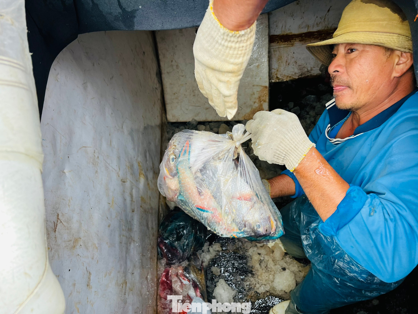 Hàng chục tàu cá nối đuôi nhau cập bến sau gần 1 tháng lênh đênh ở vùng biển xa bờ của Tổ quốc. Một số tàu trúng đậm cá mú đỏ, đỏ củ, mó, chuồn cồ, má mùng… thu về hàng trăm triệu đồng. Hàng chục tàu cá nối đuôi nhau cập bến sau gần 1 tháng lênh đênh ở vùng biển xa bờ của Tổ quốc. Một số tàu trúng đậm cá mú đỏ, đỏ củ, mó, chuồn cồ, má mùng… thu về hàng trăm triệu đồng.
