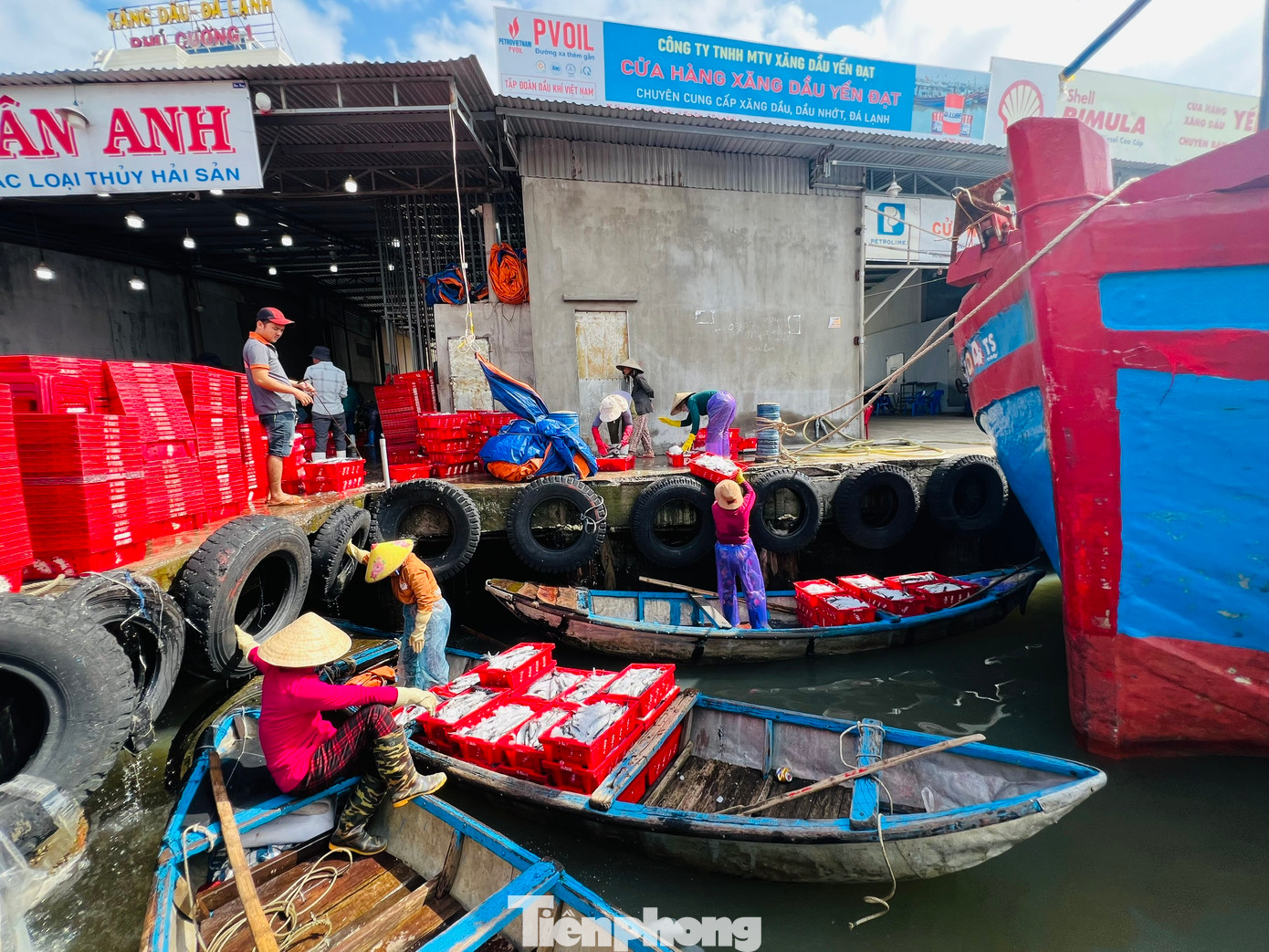 Nhộn nhịp cảnh mua bán hải sản tại cảng cá Sa Kỳ. Nhộn nhịp cảnh mua bán hải sản tại cảng cá Sa Kỳ.