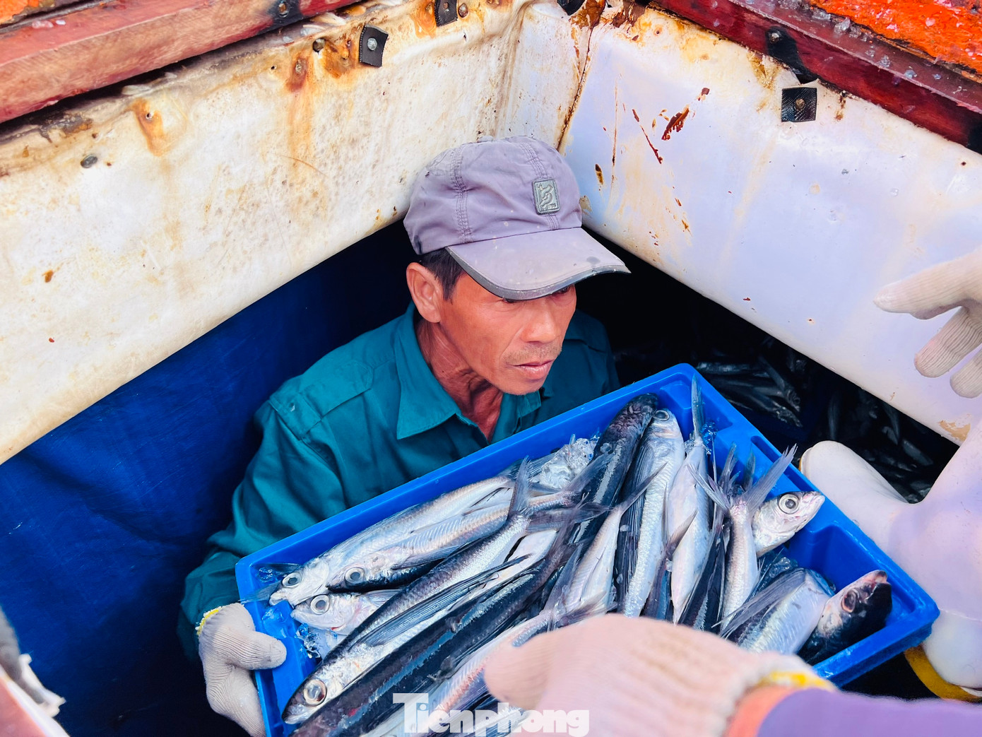 Hàng chục tàu cá nối đuôi nhau cập bến sau gần 1 tháng lênh đênh ở vùng biển xa bờ của Tổ quốc. Một số tàu trúng đậm cá mú đỏ, đỏ củ, mó, chuồn cồ, má mùng… thu về hàng trăm triệu đồng. Hàng chục tàu cá nối đuôi nhau cập bến sau gần 1 tháng lênh đênh ở vùng biển xa bờ của Tổ quốc. Một số tàu trúng đậm cá mú đỏ, đỏ củ, mó, chuồn cồ, má mùng… thu về hàng trăm triệu đồng.
