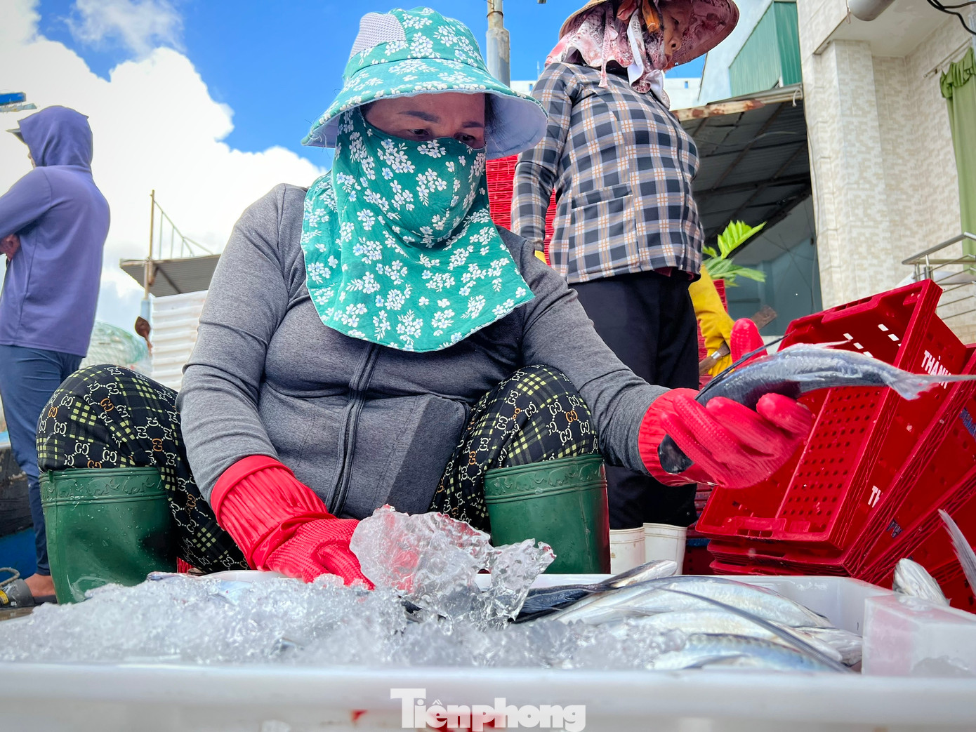 “Sau 20 ngày lênh đênh trên biển, 7 ngư dân trên tàu đánh bắt được hơn 4 tấn cá chuồn cồ. Với giá thị trường hiện nay, mỗi kg cá chuồn cồ dao động từ 40.000 - 80.000 đồng. Trừ chi phí, xăng dầu, đá… chuyến này anh em bạn thuyền được chia mỗi người 10 triệu đồng, có thêm tiền mua sắm, chi tiêu tết”, ngư dân Bùi Hoa chia sẻ. “Sau 20 ngày lênh đênh trên biển, 7 ngư dân trên tàu đánh bắt được hơn 4 tấn cá chuồn cồ. Với giá thị trường hiện nay, mỗi kg cá chuồn cồ dao động từ 40.000 - 80.000 đồng. Trừ chi phí, xăng dầu, đá… chuyến này anh em bạn thuyền được chia mỗi người 10 triệu đồng, có thêm tiền mua sắm, chi tiêu tết”, ngư dân Bùi Hoa chia sẻ.
