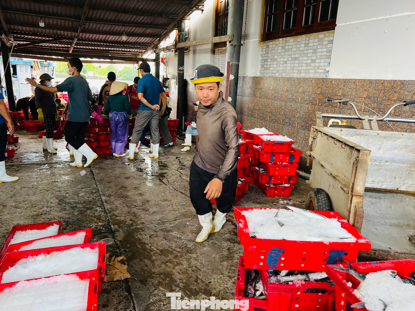 Bên cạnh niềm vui của các chủ tàu, các người dân ở các làng chài ven biển Quảng Ngãi cũng phấn khởi không kém. Bởi nhờ việc phân loại cá, mỗi người dân ở nơi đây có thu nhập từ 100.000 đến 300.000 đồng mỗi ngày. Bên cạnh niềm vui của các chủ tàu, các người dân ở các làng chài ven biển Quảng Ngãi cũng phấn khởi không kém. Bởi nhờ việc phân loại cá, mỗi người dân ở nơi đây có thu nhập từ 100.000 đến 300.000 đồng mỗi ngày.