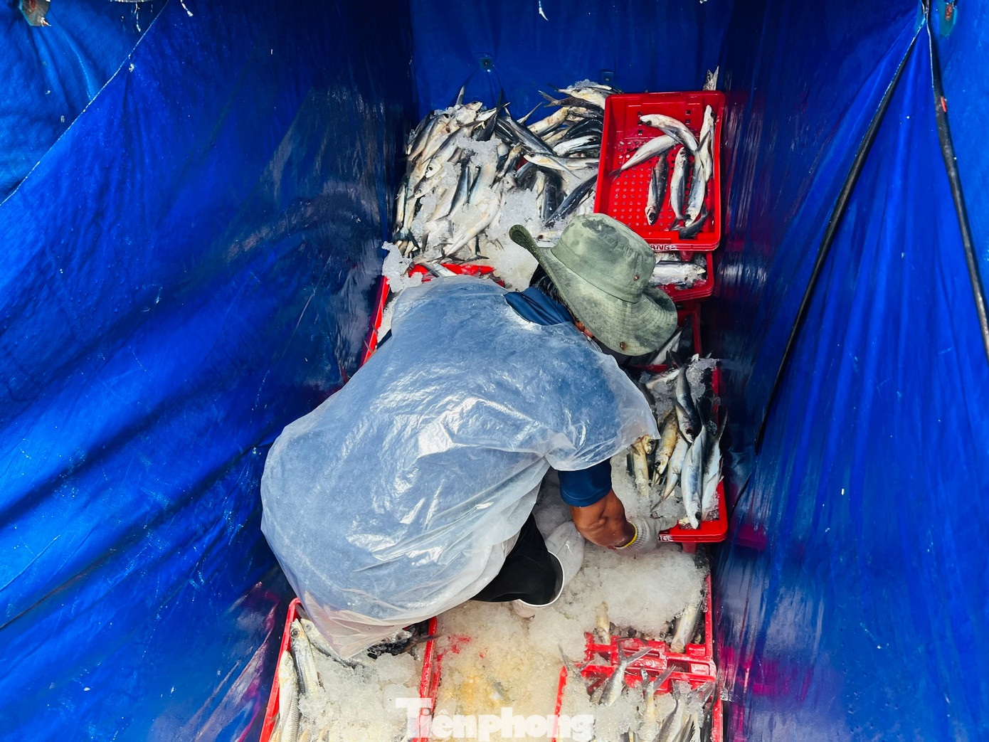 Tại các cảng cá Sa Kỳ (xã Bình Châu, huyện Bình Sơn), và Tịnh Hòa, Tịnh Kỳ thuộc thành phố Quảng Ngãi những ngày cuối năm vô cùng sôi động bởi các tàu đánh cá liên tục cập bến bán cho thương lái. Tiếng động cơ tàu cá về bến rền vang hòa cùng với tiếng cười của người mua, bán, đúng nghĩa chợ Tết. Tại các cảng cá Sa Kỳ (xã Bình Châu, huyện Bình Sơn), và Tịnh Hòa, Tịnh Kỳ thuộc thành phố Quảng Ngãi những ngày cuối năm vô cùng sôi động bởi các tàu đánh cá liên tục cập bến bán cho thương lái. Tiếng động cơ tàu cá về bến rền vang hòa cùng với tiếng cười của người mua, bán, đúng nghĩa chợ Tết.