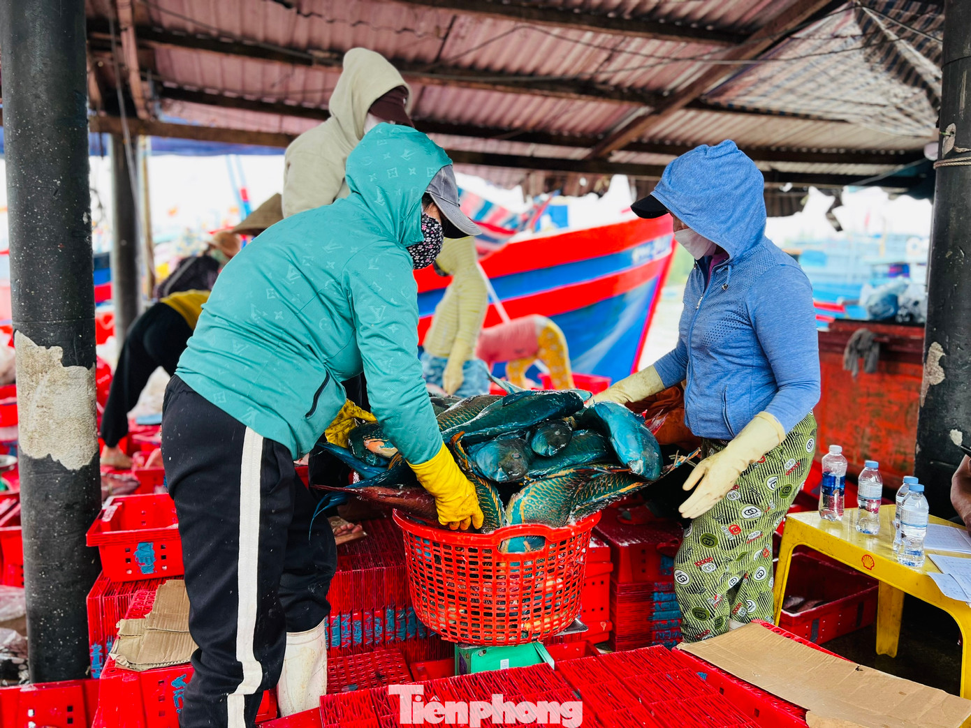 Theo ngư dân Bình, chuyến này cũng được hơn 7 tấn cá các loại, thu về khoảng 600 triệu đồng. Cuối năm nên cá đánh bắt về tiêu thụ rất nhanh, giá lại cao nên đánh bắt được bao nhiêu đều được thương lái thu mua hết. Sau khi trừ hết chi phí thì mỗi lao động trên tàu được chia khoảng 30 triệu đồng. Vậy là anh em ngư dân có tiền lo cho gia đình đón Tết. Theo ngư dân Bình, chuyến này cũng được hơn 7 tấn cá các loại, thu về khoảng 600 triệu đồng. Cuối năm nên cá đánh bắt về tiêu thụ rất nhanh, giá lại cao nên đánh bắt được bao nhiêu đều được thương lái thu mua hết. Sau khi trừ hết chi phí thì mỗi lao động trên tàu được chia khoảng 30 triệu đồng. Vậy là anh em ngư dân có tiền lo cho gia đình đón Tết.