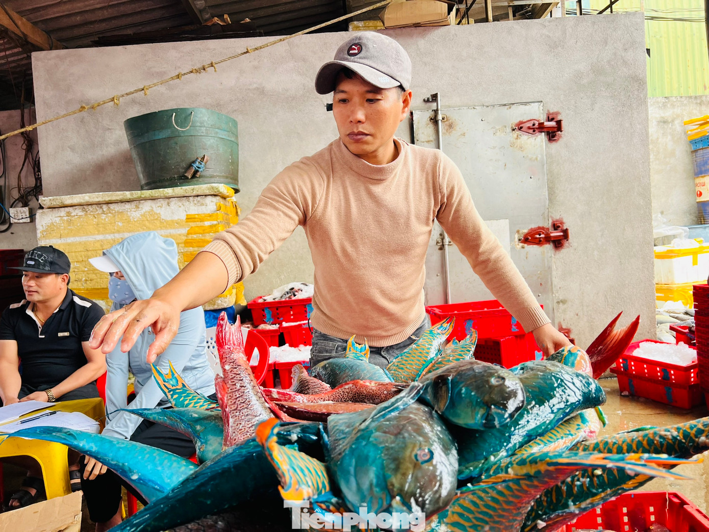 Theo ngư dân Bình, chuyến này cũng được hơn 7 tấn cá các loại, thu về khoảng 600 triệu đồng. Cuối năm nên cá đánh bắt về tiêu thụ rất nhanh, giá lại cao nên đánh bắt được bao nhiêu đều được thương lái thu mua hết. Sau khi trừ hết chi phí thì mỗi lao động trên tàu được chia khoảng 30 triệu đồng. Vậy là anh em ngư dân có tiền lo cho gia đình đón Tết. Theo ngư dân Bình, chuyến này cũng được hơn 7 tấn cá các loại, thu về khoảng 600 triệu đồng. Cuối năm nên cá đánh bắt về tiêu thụ rất nhanh, giá lại cao nên đánh bắt được bao nhiêu đều được thương lái thu mua hết. Sau khi trừ hết chi phí thì mỗi lao động trên tàu được chia khoảng 30 triệu đồng. Vậy là anh em ngư dân có tiền lo cho gia đình đón Tết.