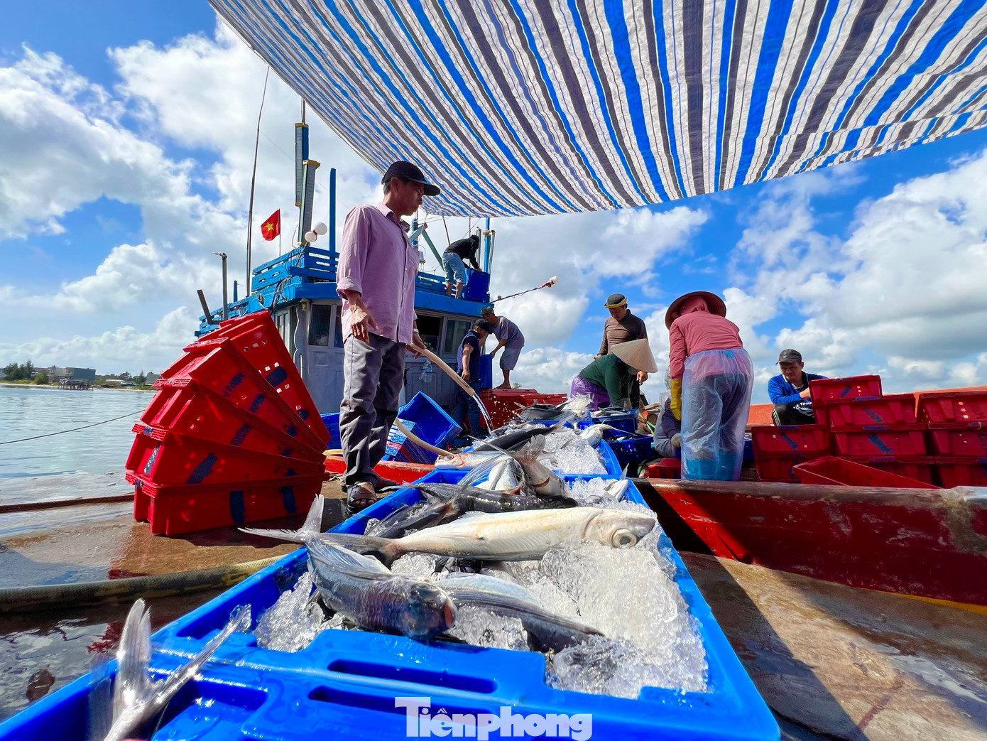Theo các ngư dân, thời điểm cuối năm, các tàu sẽ về liên tục ngày đêm để đưa hải sản vào bờ bán và nghỉ ngơi đón Tết bên gia đình. Theo các ngư dân, thời điểm cuối năm, các tàu sẽ về liên tục ngày đêm để đưa hải sản vào bờ bán và nghỉ ngơi đón Tết bên gia đình.