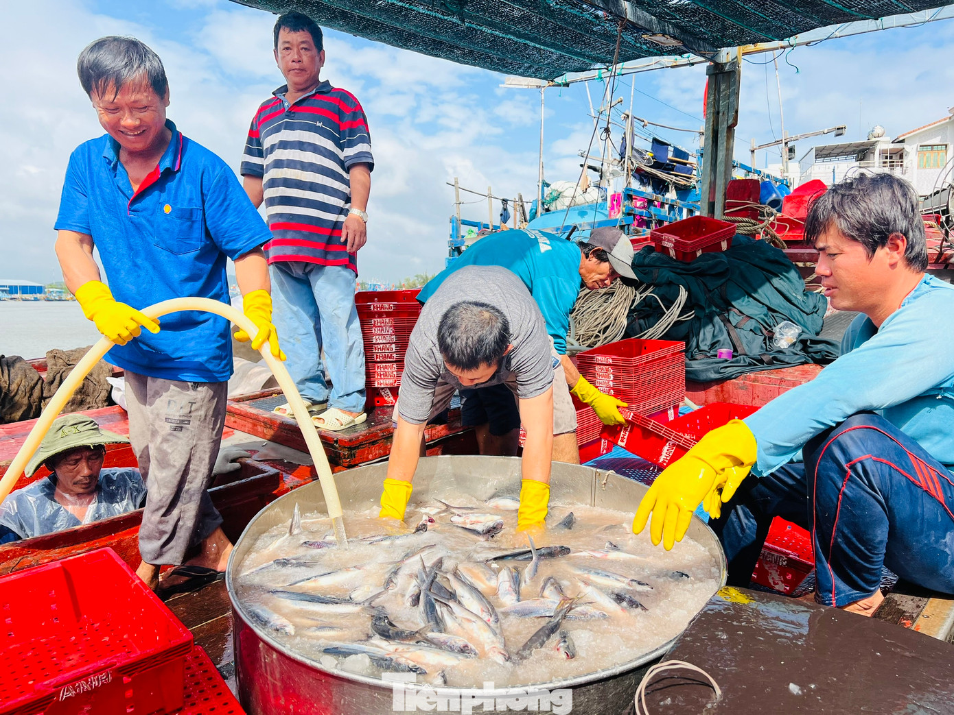 Sau chuyến đánh bắt gần 1 tháng ở ngư trường Hoàng Sa và Trường Sa, tàu cá QNg 90744 TS của ngư dân Bùi Hoa (trú thôn Định Tân, xã Bình Châu) cập cảng Sa Kỳ trong niềm phấn khởi của ngư dân. Sau chuyến đánh bắt gần 1 tháng ở ngư trường Hoàng Sa và Trường Sa, tàu cá QNg 90744 TS của ngư dân Bùi Hoa (trú thôn Định Tân, xã Bình Châu) cập cảng Sa Kỳ trong niềm phấn khởi của ngư dân.
