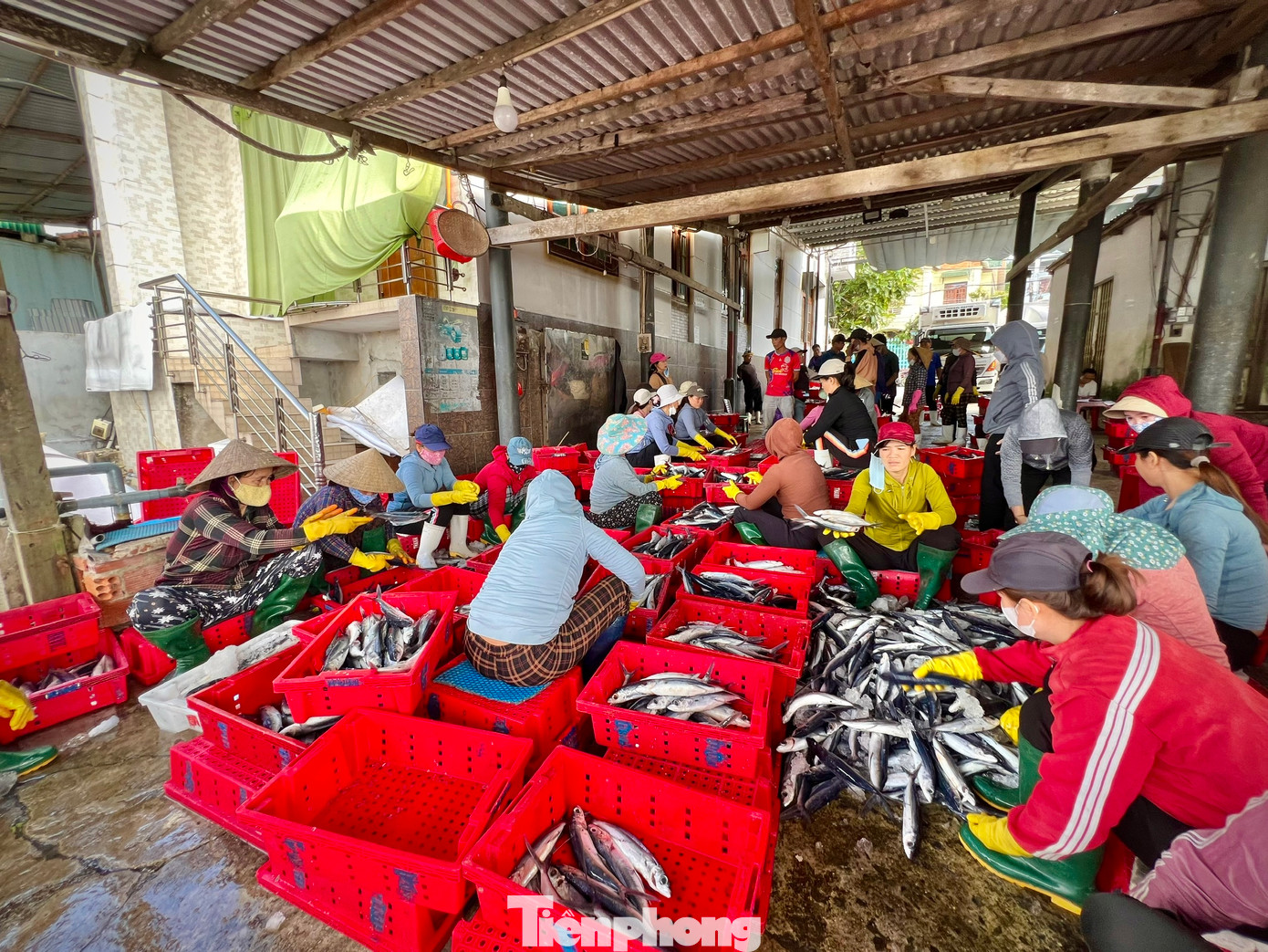 Nhộn nhịp cảnh mua bán hải sản tại cảng cá Sa Kỳ. Nhộn nhịp cảnh mua bán hải sản tại cảng cá Sa Kỳ.