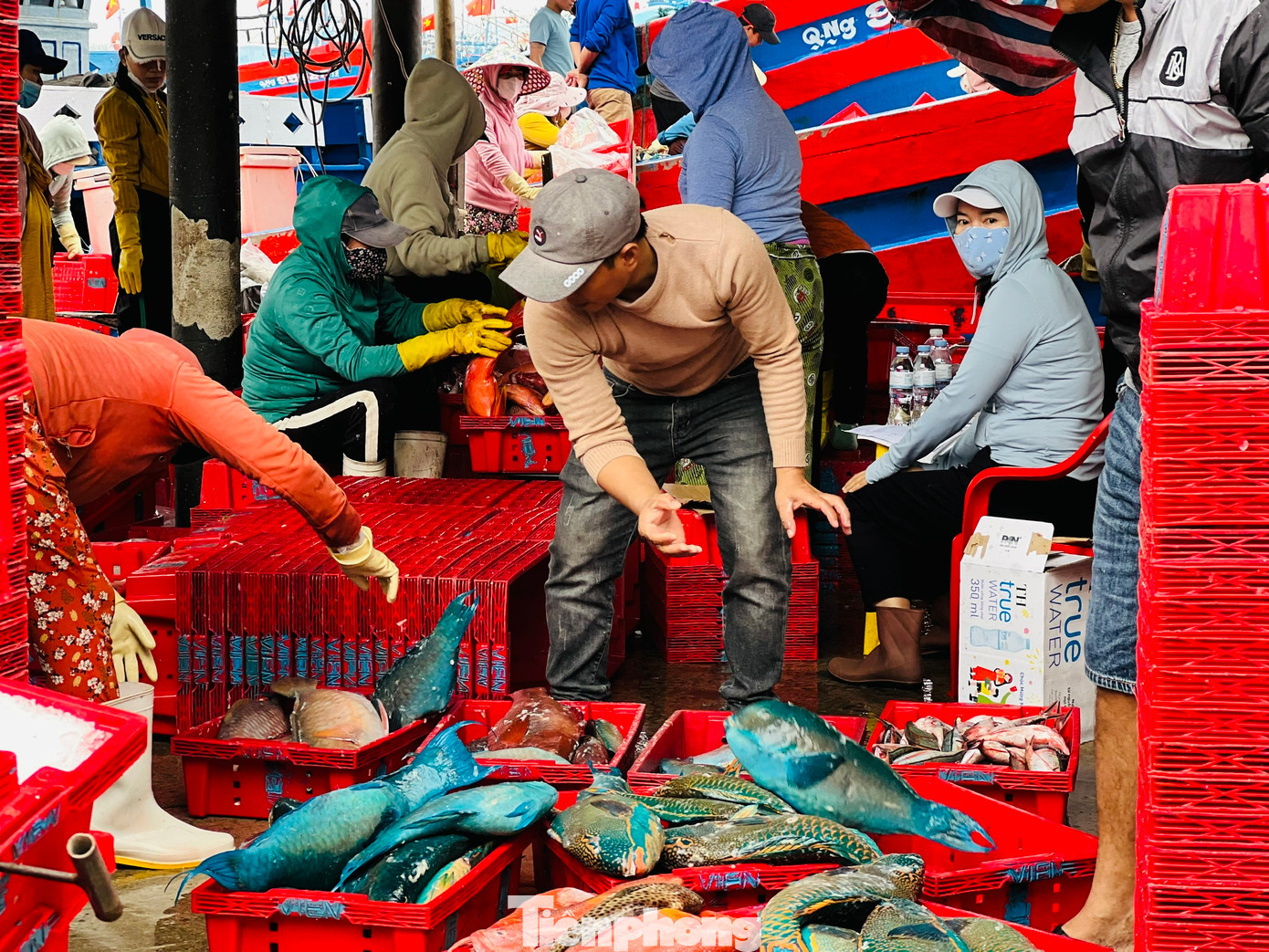 Theo ngư dân Bình, chuyến này cũng được hơn 7 tấn cá các loại, thu về khoảng 600 triệu đồng. Cuối năm nên cá đánh bắt về tiêu thụ rất nhanh, giá lại cao nên đánh bắt được bao nhiêu đều được thương lái thu mua hết. Sau khi trừ hết chi phí thì mỗi lao động trên tàu được chia khoảng 30 triệu đồng. Vậy là anh em ngư dân có tiền lo cho gia đình đón Tết. Theo ngư dân Bình, chuyến này cũng được hơn 7 tấn cá các loại, thu về khoảng 600 triệu đồng. Cuối năm nên cá đánh bắt về tiêu thụ rất nhanh, giá lại cao nên đánh bắt được bao nhiêu đều được thương lái thu mua hết. Sau khi trừ hết chi phí thì mỗi lao động trên tàu được chia khoảng 30 triệu đồng. Vậy là anh em ngư dân có tiền lo cho gia đình đón Tết.