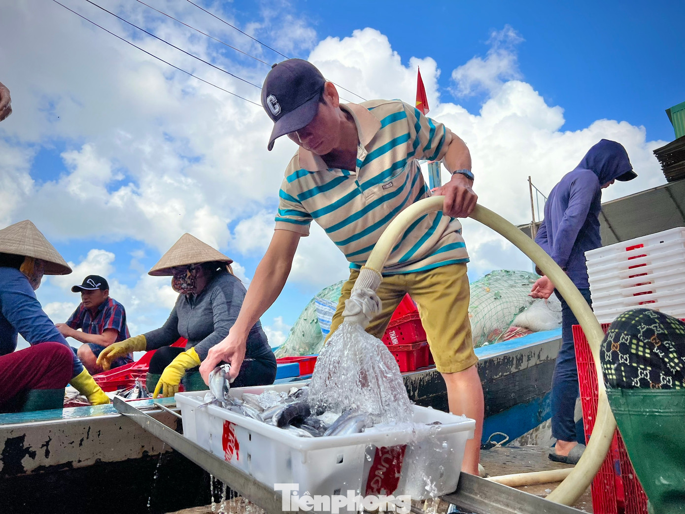 Theo các ngư dân, thời điểm cuối năm, các tàu sẽ về liên tục ngày đêm để đưa hải sản vào bờ bán và nghỉ ngơi đón Tết bên gia đình. Theo các ngư dân, thời điểm cuối năm, các tàu sẽ về liên tục ngày đêm để đưa hải sản vào bờ bán và nghỉ ngơi đón Tết bên gia đình.