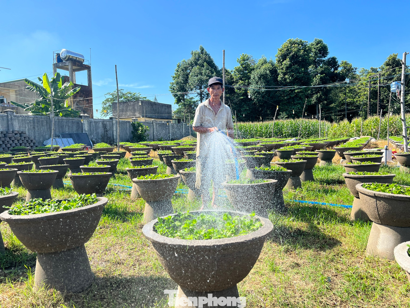 Người dân tưới nước cho hoa. Ảnh: Nguyễn Ngọc.