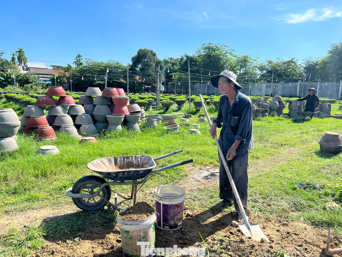 Người dân hối hả xuống giống vụ cúc Tết. Ảnh: Nguyễn Ngọc.