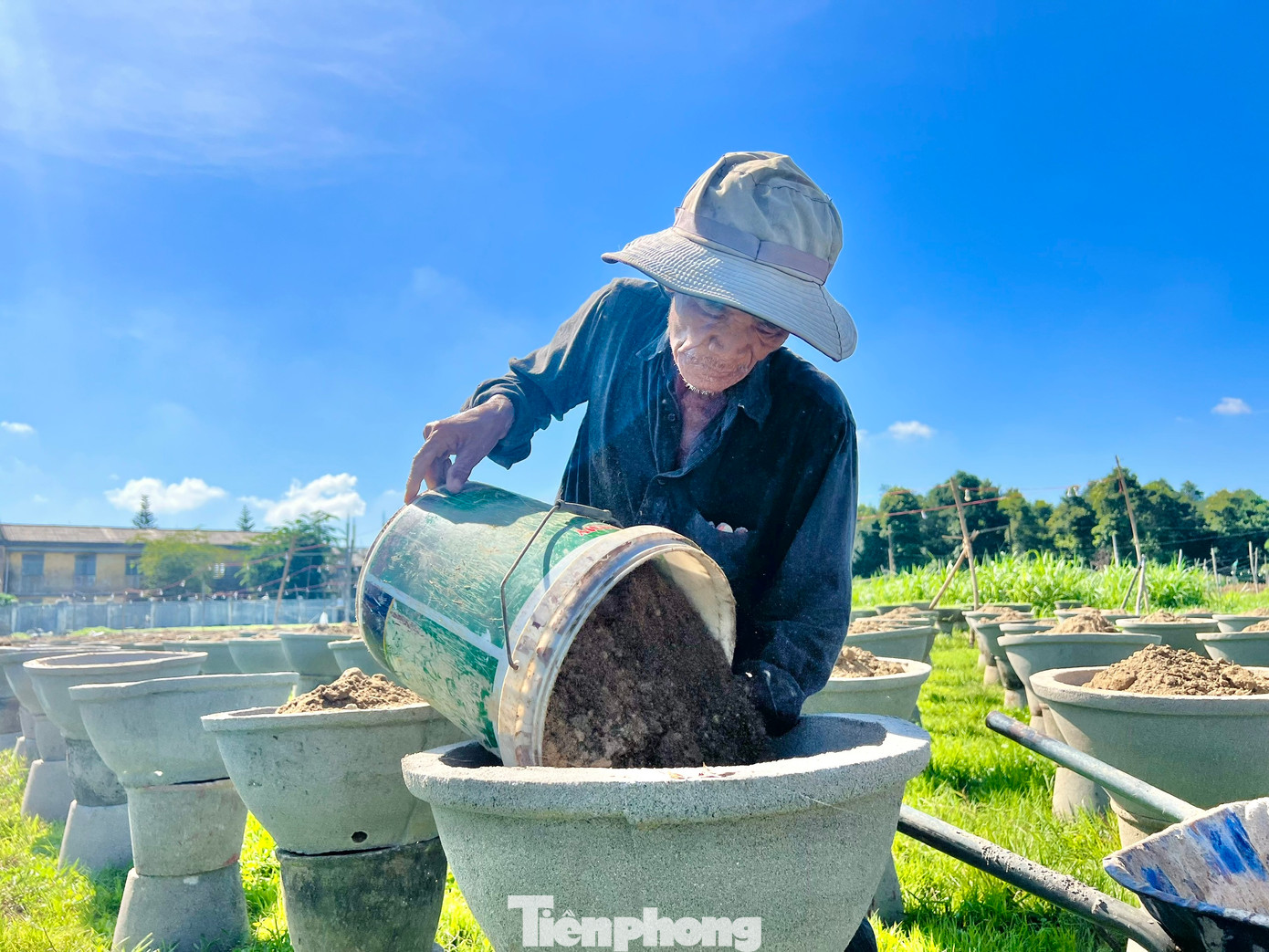 Người dân hối hả xuống giống vụ cúc Tết. Ảnh: Nguyễn Ngọc.