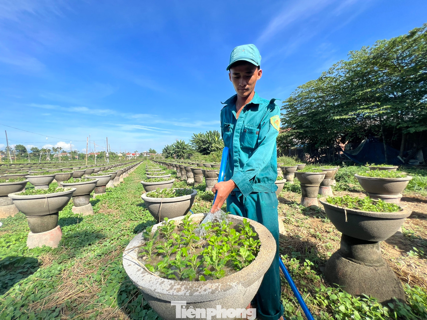 Người dân tưới nước cho hoa. Ảnh: Nguyễn Ngọc.