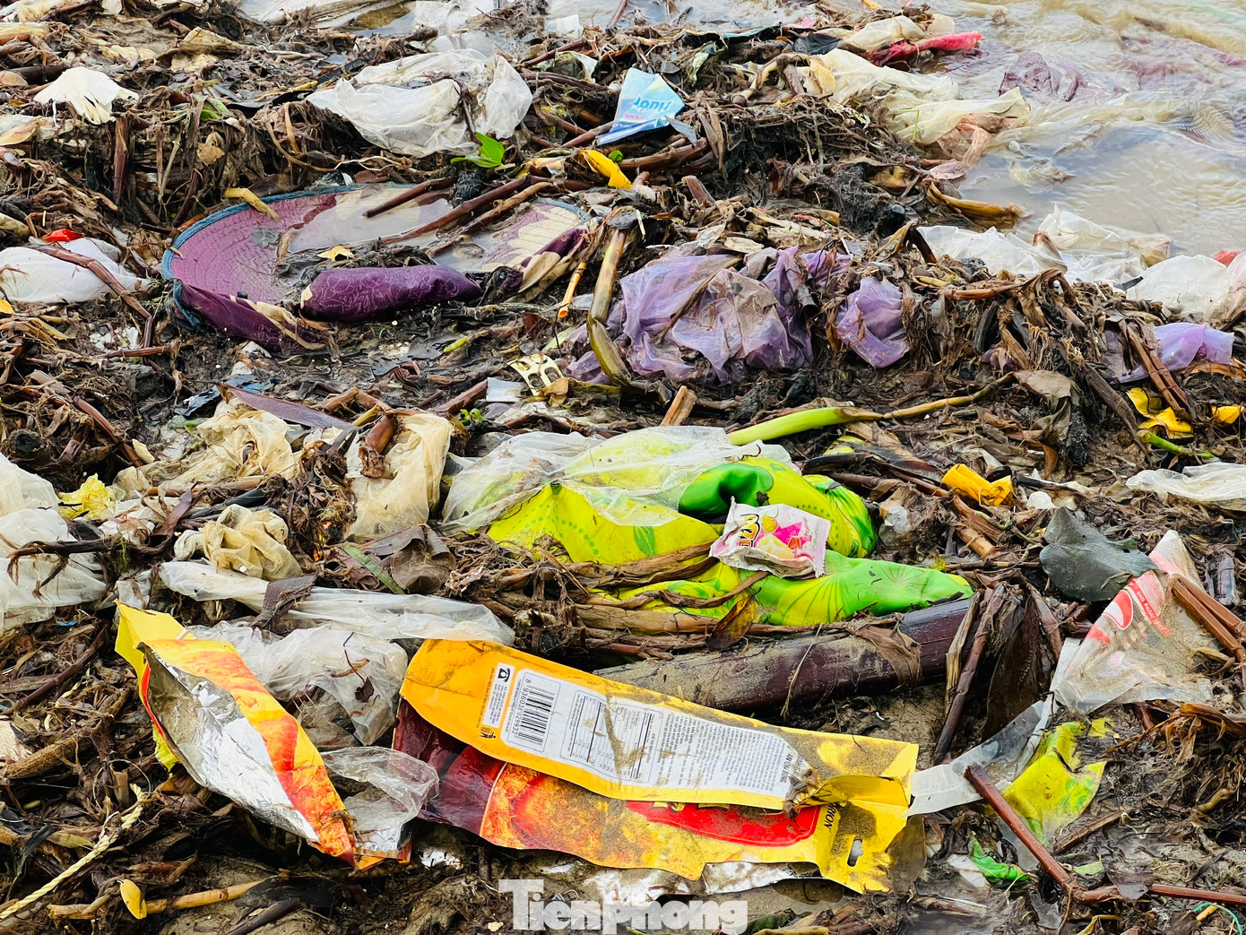 Ông Đặng Lự (trú thôn An Vĩnh) cho hay, hầu hết rác thải từ thượng nguồn theo các con sông trôi về biển rồi bị thủy triều đánh tấp vào bờ. (Ảnh: Nguyễn Ngọc)