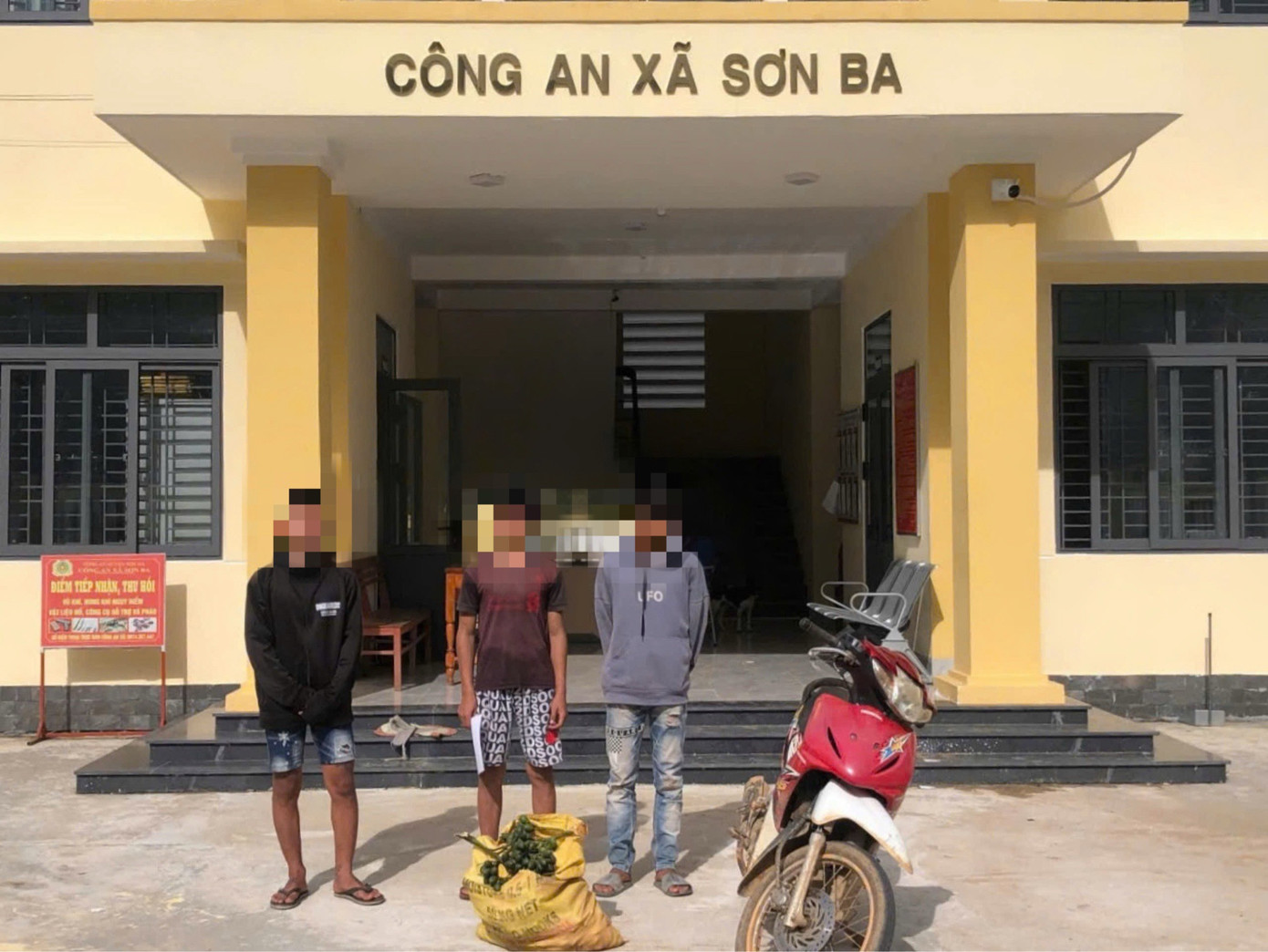 Ba thanh niên ở huyện Sơn Hà trộm cau bị công an bắt giữ.