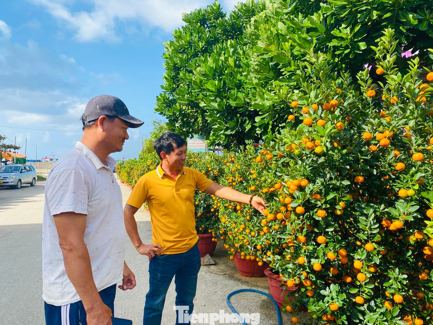 Trao đổi với PV, bà Phạm Thị Hương – Chủ tịch UBND huyện Lý Sơn cho biết, hàng hóa năm nay trên đảo rất đa dạng và phong phú. Giờ nơi nào trên đảo cũng rực rỡ sắc màu hoa cúc, hoa mai, quất cảnh. Để bình ổn giá không để xảy ra tình trạng đầu cơ, ghim hàng, trục lợi trong dịp Tết, huyện đã giao cơ quan chức năng nắm chắc tình hình buôn bán và niêm yết giá của các đại lý, cửa hàng.